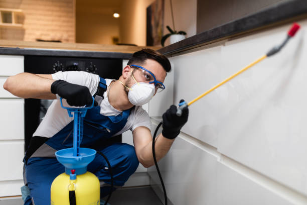 Best Residential Pest Control  in Golden Valley, AZ