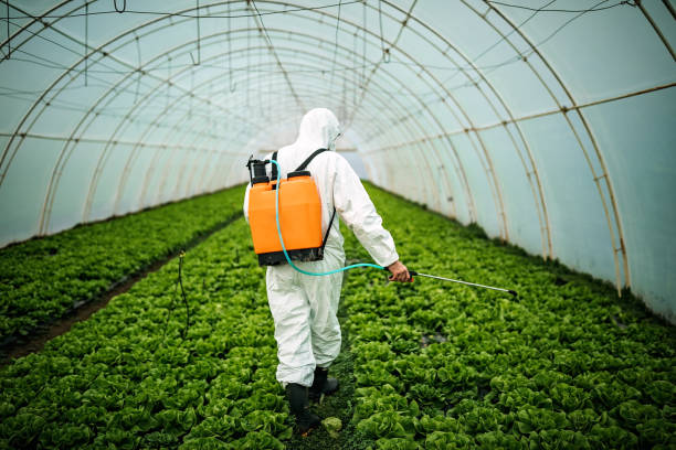Best Best Pest Control Near Me  in Golden Valley, AZ