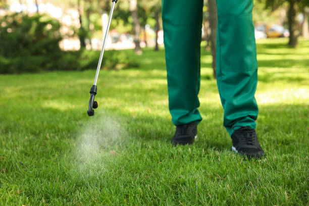 Best Best Pest Control Companies  in Golden Valley, AZ