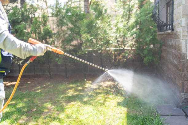 Best Pest Removal Services  in Golden Valley, AZ