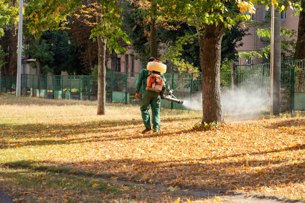 Best Commercial Pest Control Services  in Golden Valley, AZ