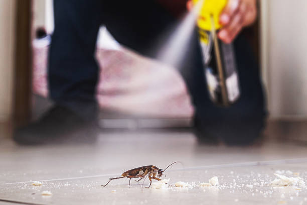 Best Pest Inspection Near Me  in Golden Valley, AZ