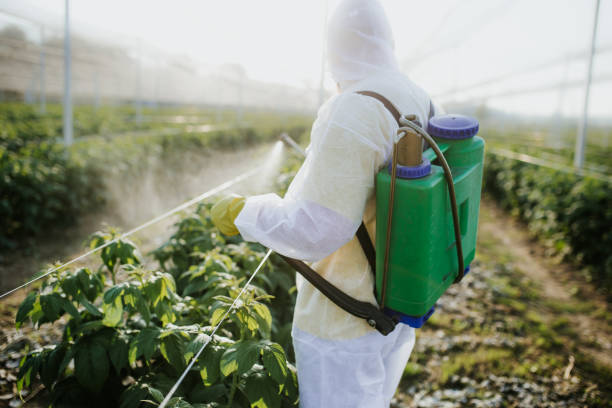 Best Pest Control Near Me  in Golden Valley, AZ